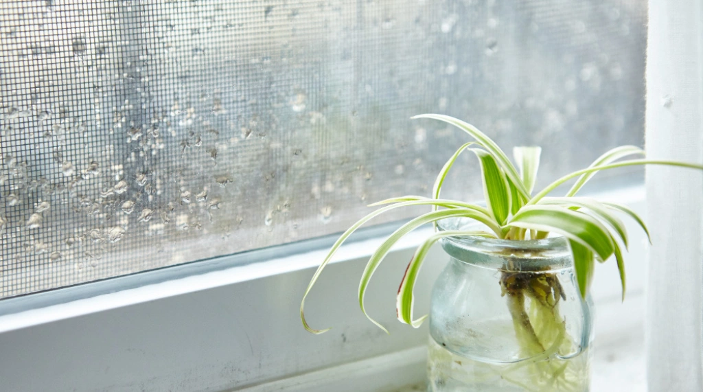 Perbedaan Kamar Lembap dan Kamar Kurang Ventilasi